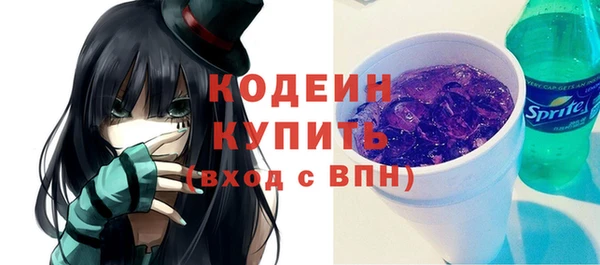ешки Ельня