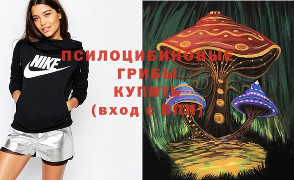 марки lsd Елабуга
