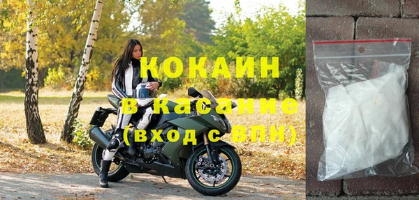ешки Ельня