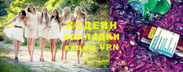 ешки Ельня