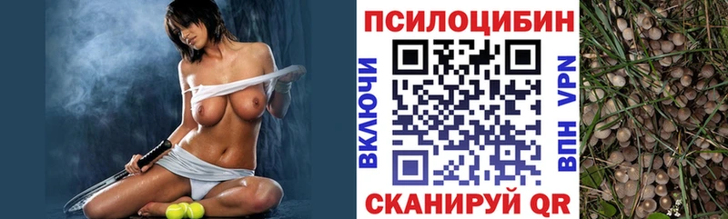 Псилоцибиновые грибы мухоморы  где продают   Теберда 